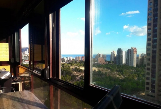 Apartamento / piso - Reventa - Benidorm - Costa Blanca