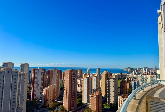Apartamento / piso - Reventa - Benidorm - Costa Blanca