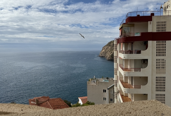 Apartamento / piso - Reventa - Benidorm - Costa Blanca