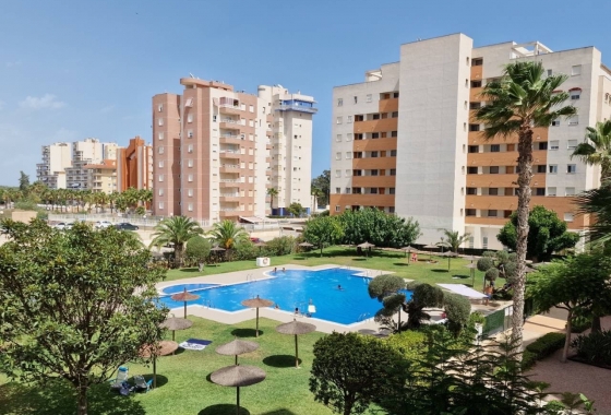 Apartamento / piso - Reventa - Guardamar del Segura - Avda del Puerto