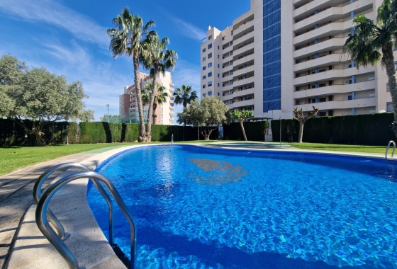 Apartamento / piso - Reventa - Guardamar del Segura - SUP-7 & Port Area