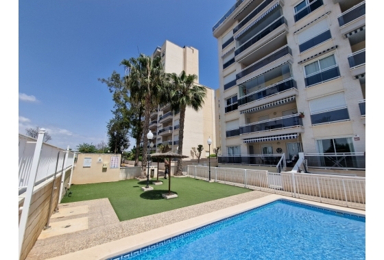 Apartamento / piso - Reventa - Guardamar del Segura - SUP-7 & Port Area
