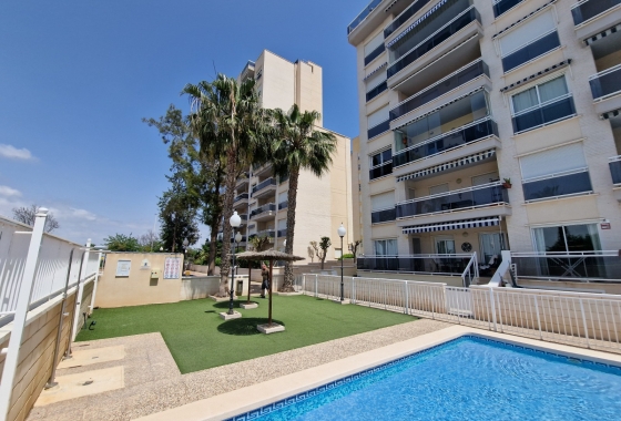 Apartamento / piso - Reventa - Guardamar del Segura - SUP-7 & Port Area