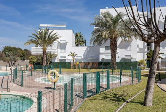Apartment / flat - New Build - Vera - Vera