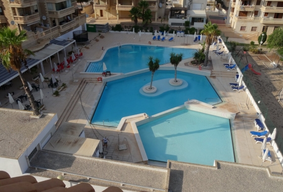 Apartment / flat - Resale - Guardamar del Segura - Costa Blanca