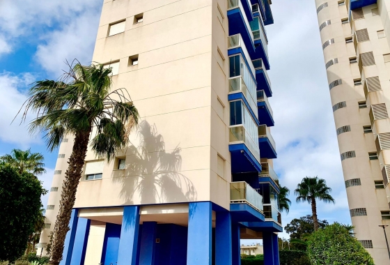 Apartment / flat - Resale - Guardamar del Segura - Puerto