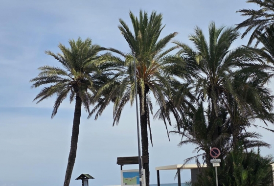 Apartment / flat - Resale - Orihuela Costa - Altos De Campoamor