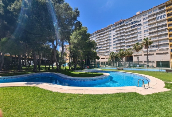 Apartment / flat - Resale - Orihuela Costa - Campoamor