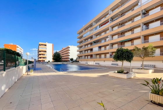 Apartment / flat - Resale - Torrevieja - Costa Blanca