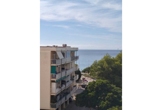 Apartment / flat - Resale - Torrevieja - Costa Blanca