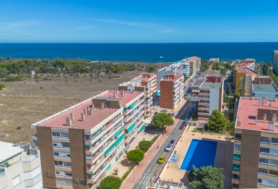 Apartment / flat - Resale - Torrevieja - Costa Blanca