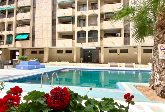 Apartment / flat - Resale - Torrevieja - Torrevieja