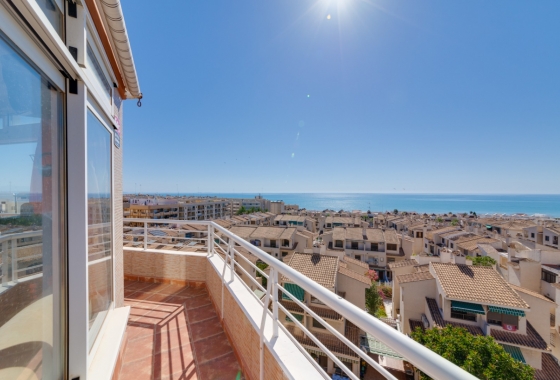 Appartement / flat - Herverkoop - Guardamar del Segura - Costa Blanca
