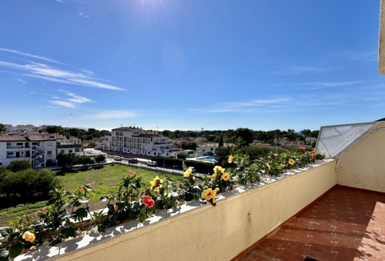 Appartement / flat - Herverkoop - Orihuela Costa - Costa Blanca