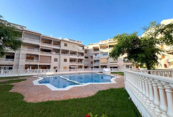 Appartement / flat - Herverkoop - Torrevieja - Playa de los Locos