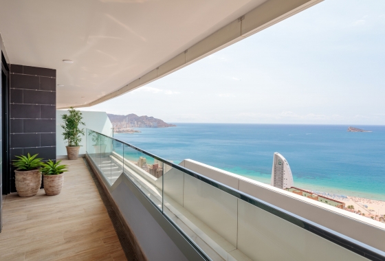 Appartement / flat - Nieuwbouw Woningen - Benidorm - Benidorm