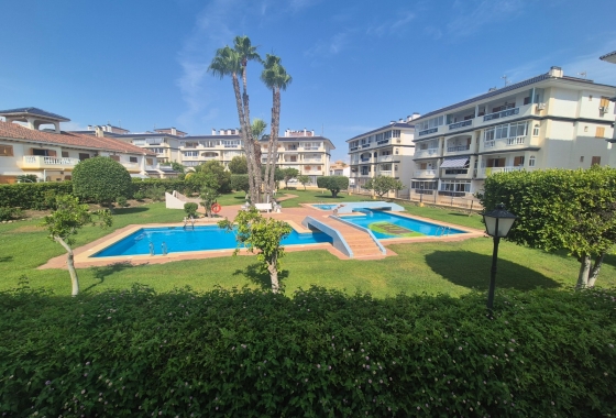 Appartement - Revente - La Mata - La Mata