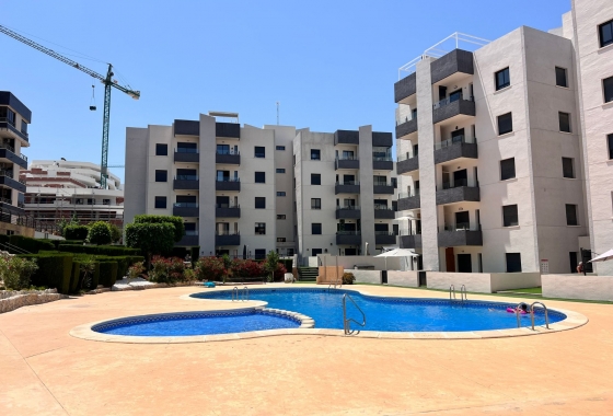 Appartement - Revente - San Miguel de Salinas - Inland
