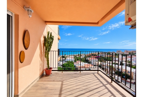 Appartement - Revente - Torrevieja - Costa Blanca