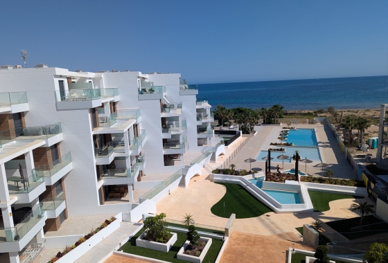 Ático - Obra nueva - Denia - Denia