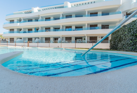 Ático - Obra nueva - Orihuela Costa - Orihuela Costa