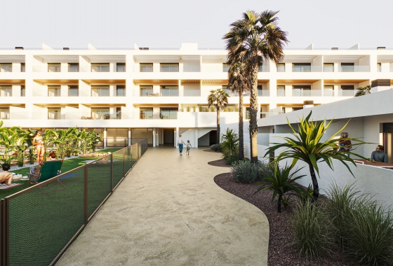 Attique - Nouvelle construction - Torrevieja - Torrevieja