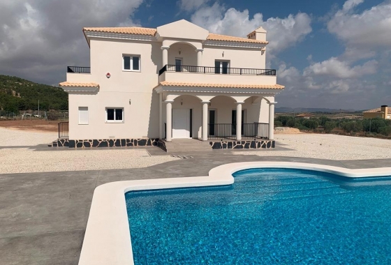 Chalet - New Build - Pinoso - Pinoso