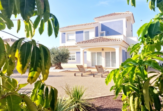 Chalet - Nieuwbouw Woningen - Purias - NB-64877