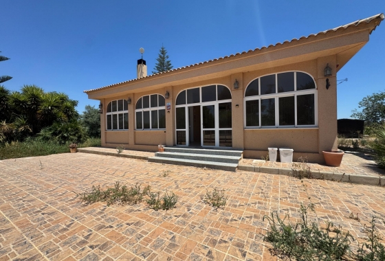 Finca - Återförsäljning - Dolores - Comunidad Valenciana