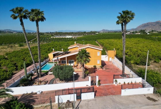 Finca - Country Property - Revente - Orihuela - Orihuela
