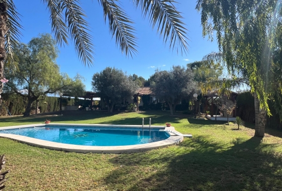 Finca - Herverkoop - Dolores - Comunidad Valenciana