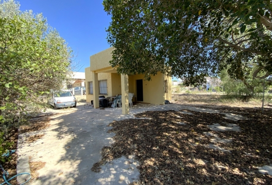 Finca - Перепродажа - Crevillente - Crevillent