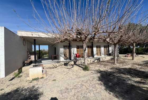 Finca - Перепродажа - Los Montesinos - Comunidad Valenciana