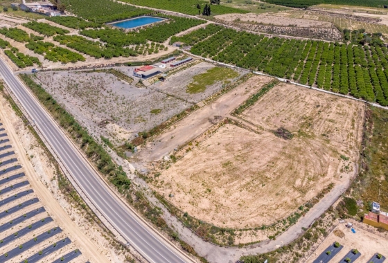 Finca - Перепродажа - Los Montesinos - Los Montesinos