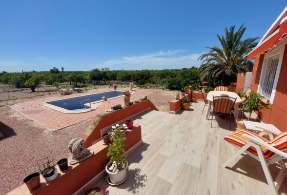 Finca - Перепродажа - San Miguel de Salinas - Inland