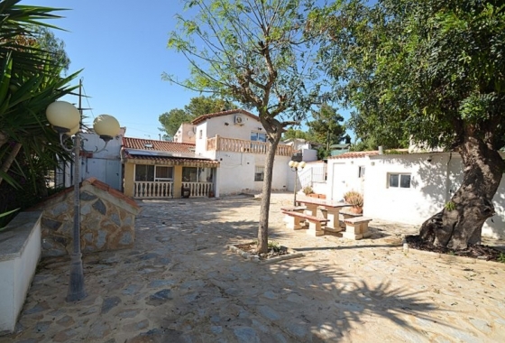 Finca - Resale - Canadas De San Pedro - Inland