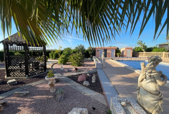 Finca - Resale - Crevillente - Inland