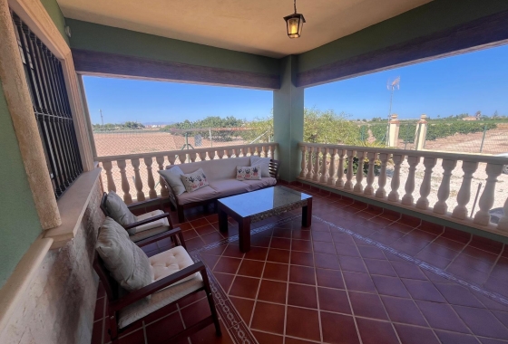 Finca - Resale - Daya Nueva - La Bodega