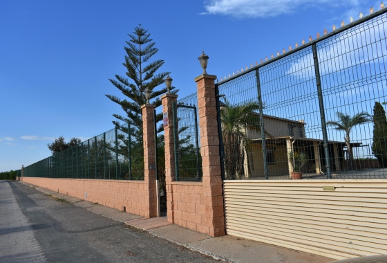 Finca - Resale - Torre Pacheco - Dolores De Pacheco