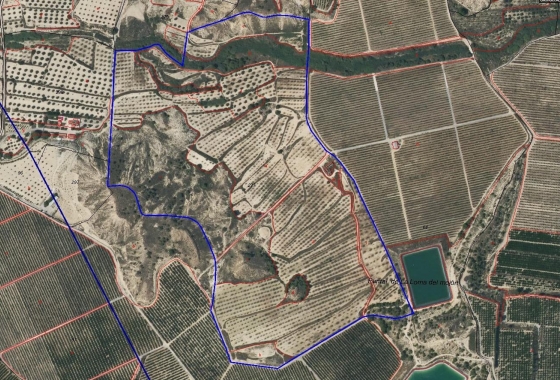 Finca - Resale - Torremendo - MCO-66085