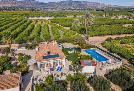 Finca - Reventa - Albatera - Inland