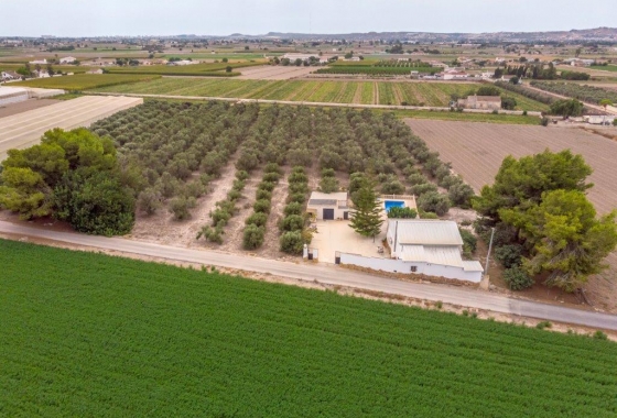 Finca - Revente - Dolores - Costa Blanca