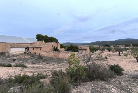 Finca - Revente - Villena - Inland