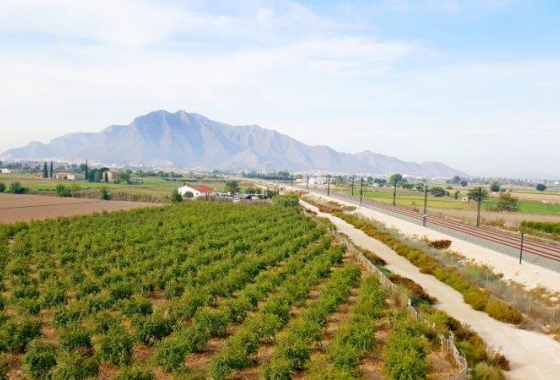 Finca - Wiederverkauf - Callosa de Segura - Inland