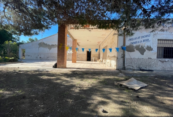 Finca - Wiederverkauf - Elche - MCO-40911