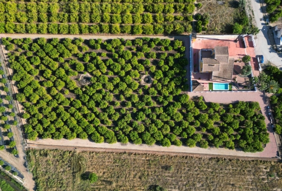 Finca - Wiederverkauf - Orihuela - Inland