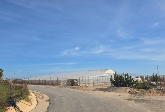 Finca - Wiederverkauf - Pilar de la Horadada - Pilar de la Horadada