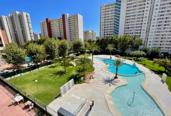 Квартира - Перепродажа - Benidorm - Benidorm