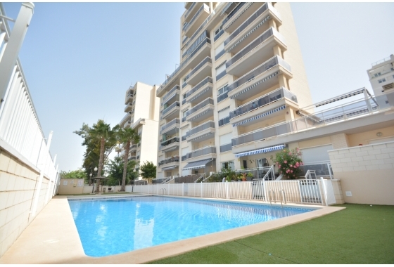 Квартира - Перепродажа - Guardamar del Segura - Costa Blanca