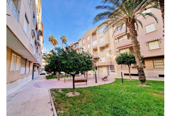 Квартира - Перепродажа - Guardamar del Segura - Mercadona Guardamar